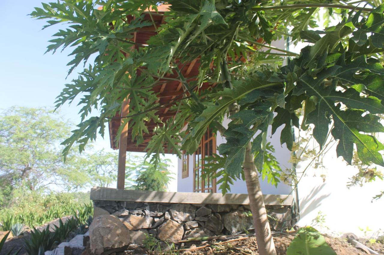 La Fora Ecolodge São Filipe Exteriér fotografie